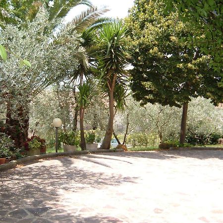 הוילה Montebuono  L'Uliveto מראה חיצוני תמונה