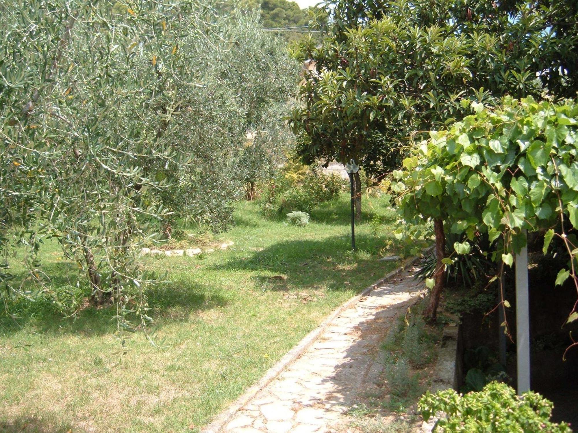 הוילה Montebuono  L'Uliveto מראה חיצוני תמונה